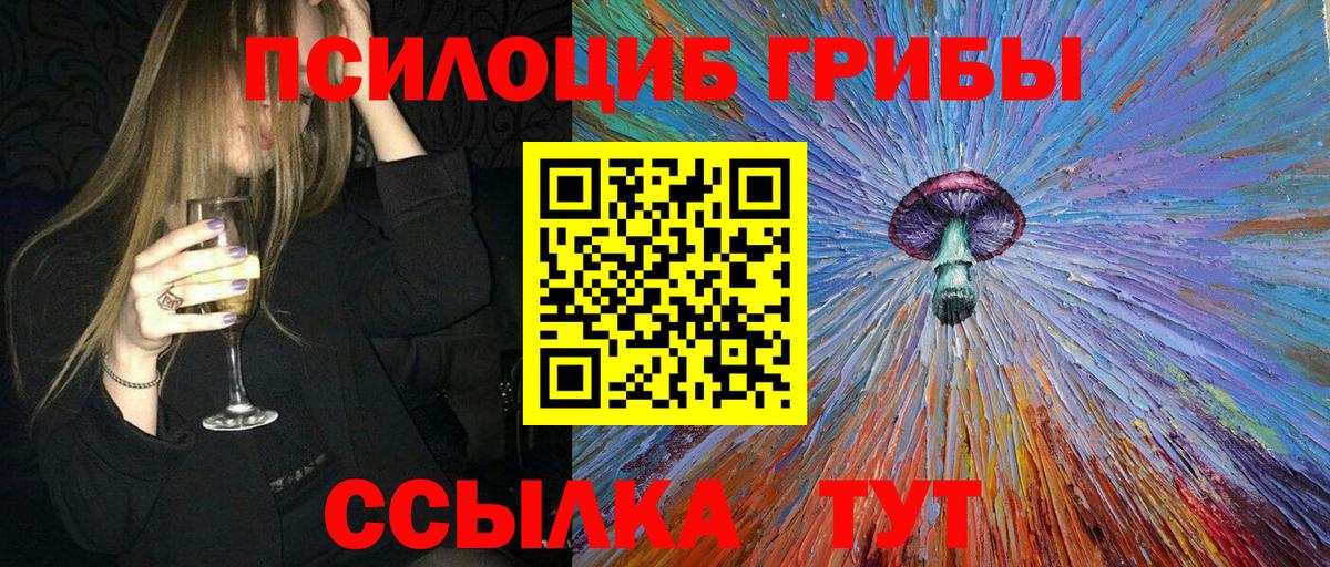 Галлюциногенные грибы Cubensis Павлово