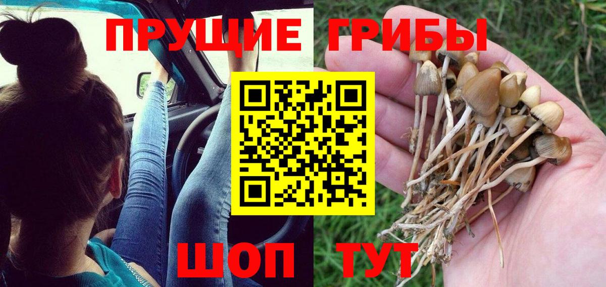 Псилоцибиновые грибы прущие грибы Павлово